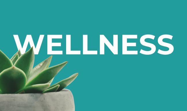 The word Wellness with a succulent plant in the background.